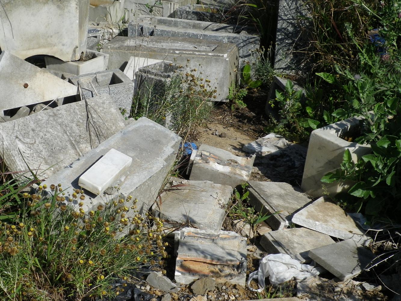 CIMETIERE DE TAMAZOUHET D ORAN EN MARS 2012  (158).JPG